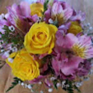 Meet your Posher, Crissy